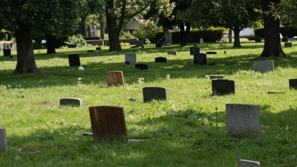 Jak religie traktują zwierzęta po śmierci?
