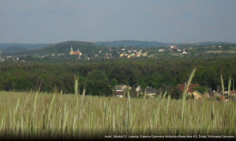 Przygoń (wzniesienie)