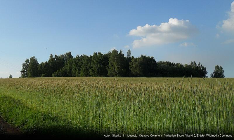 Uroczysko „Sodowa Góra”